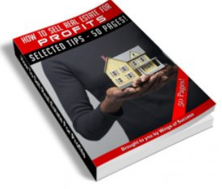 eBook: How to set up real estate for profits